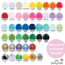 Load image into Gallery viewer, Balloon Garland Kit (MINI) - Custom
