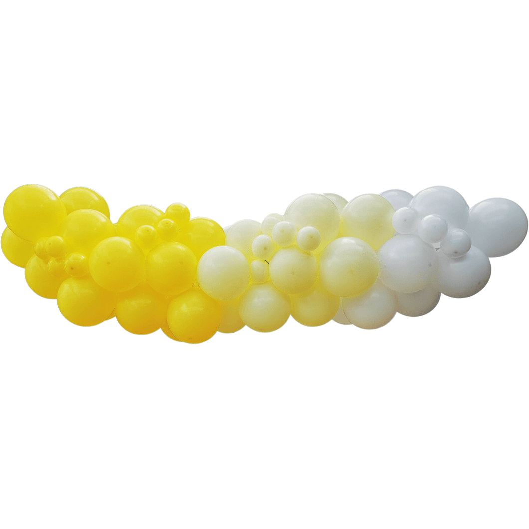 Balloon Garland Kit (REGULAR) - Limoncello